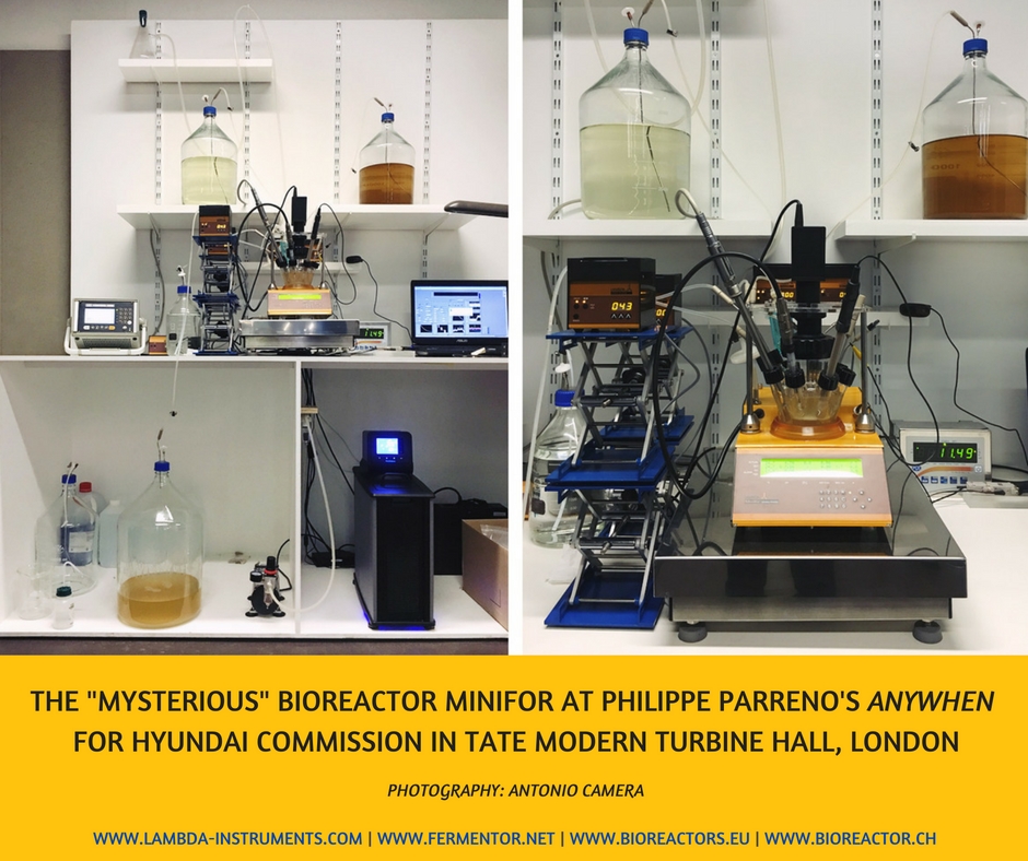 “Mysterious Bioreactor” at Tate Modern, London